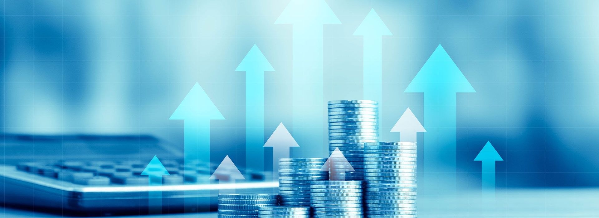 Licence en Commerce et Finance Internationale