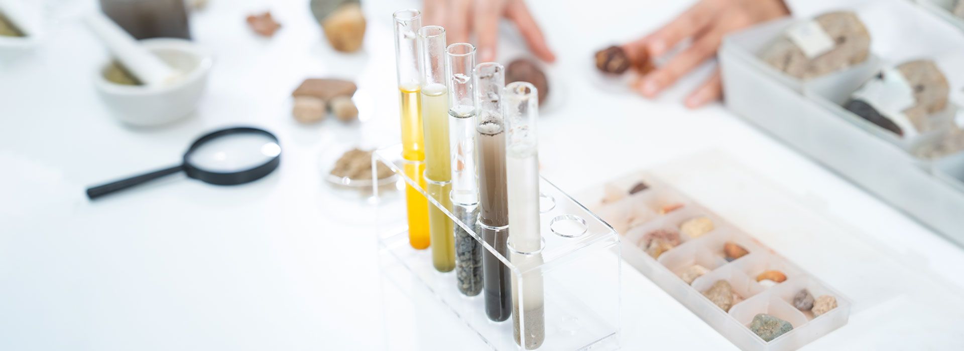 Cycle préparatoire en Biologie-Géologie